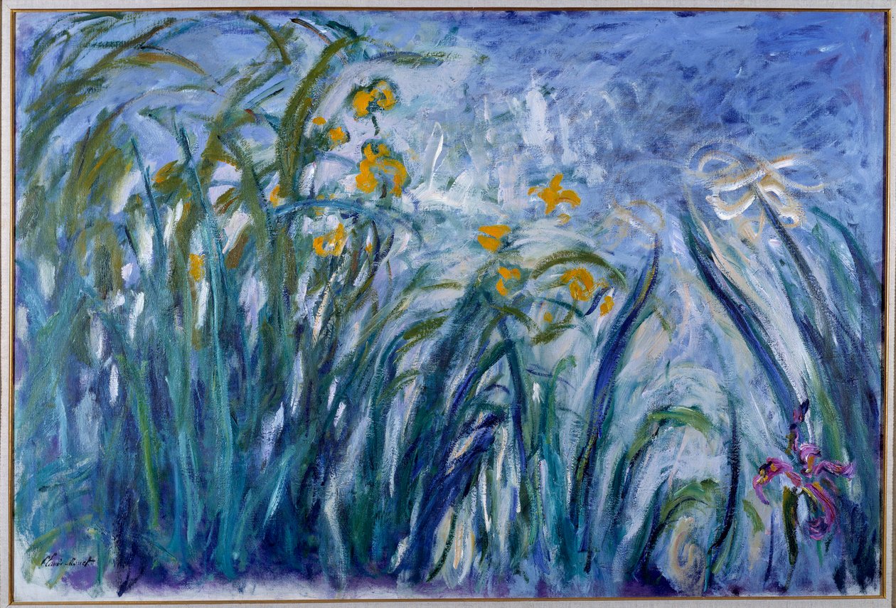 Iris door Claude Monet