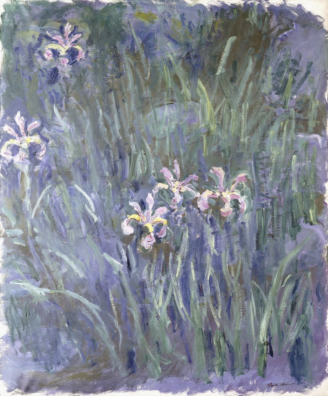 Iris, c.1914-1917 door Claude Monet