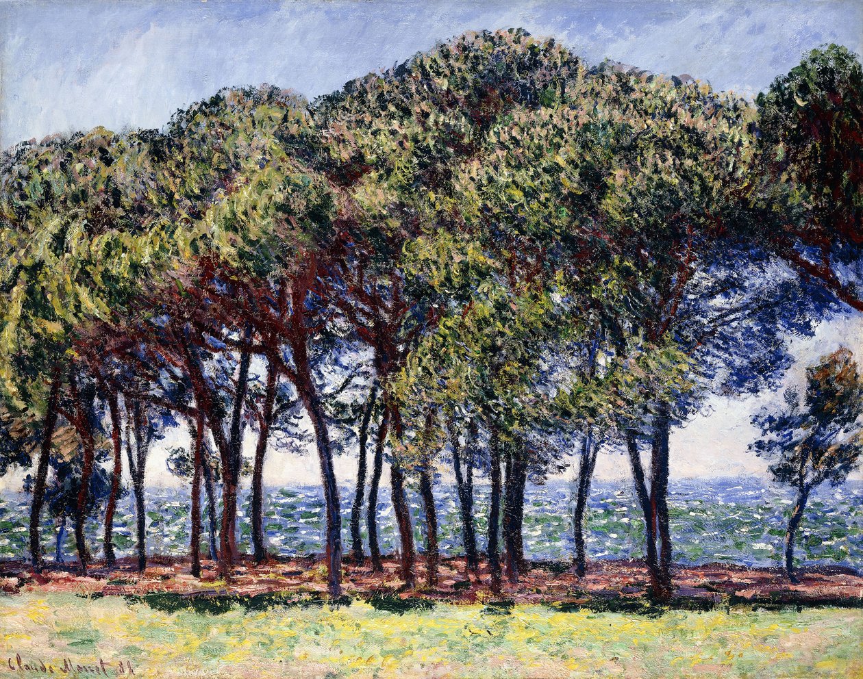 Pijnbomen, Cap d