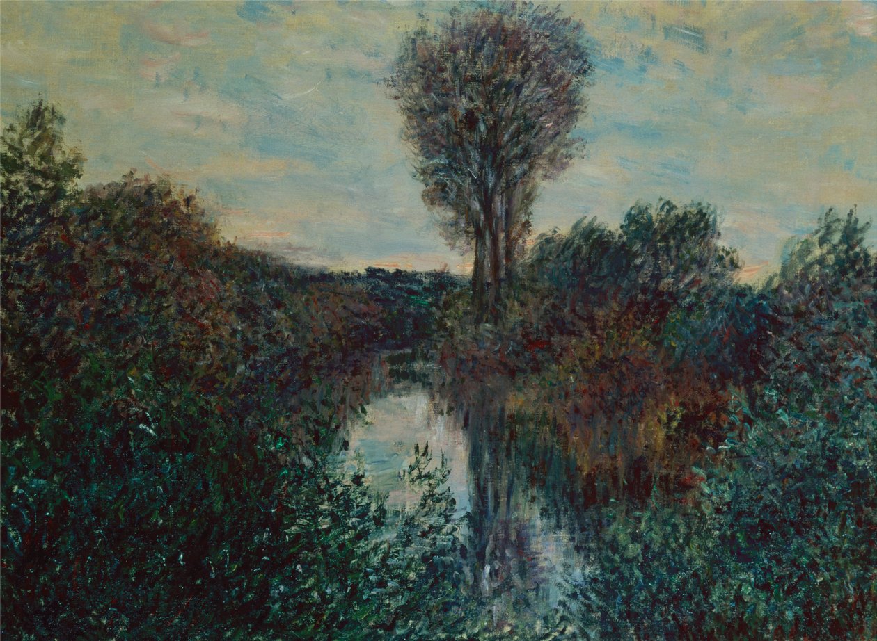 Kleine Tak van de Seine door Claude Monet