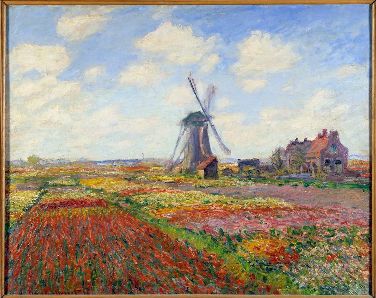 Tulpenvelden in Nederland (met een windmolen) door Claude Monet