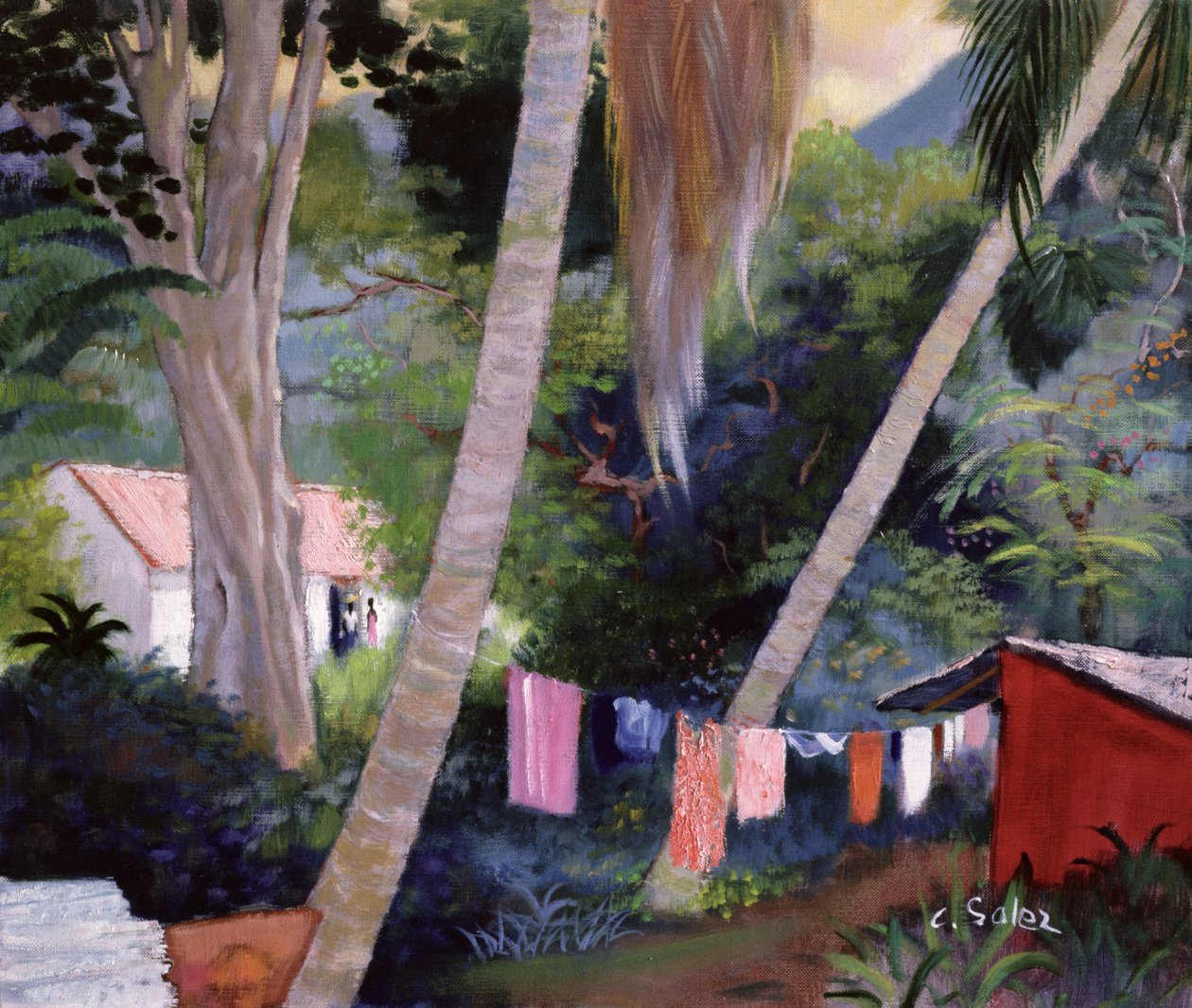 Wasgoed Drogen, Guadeloupe door Claude Salez