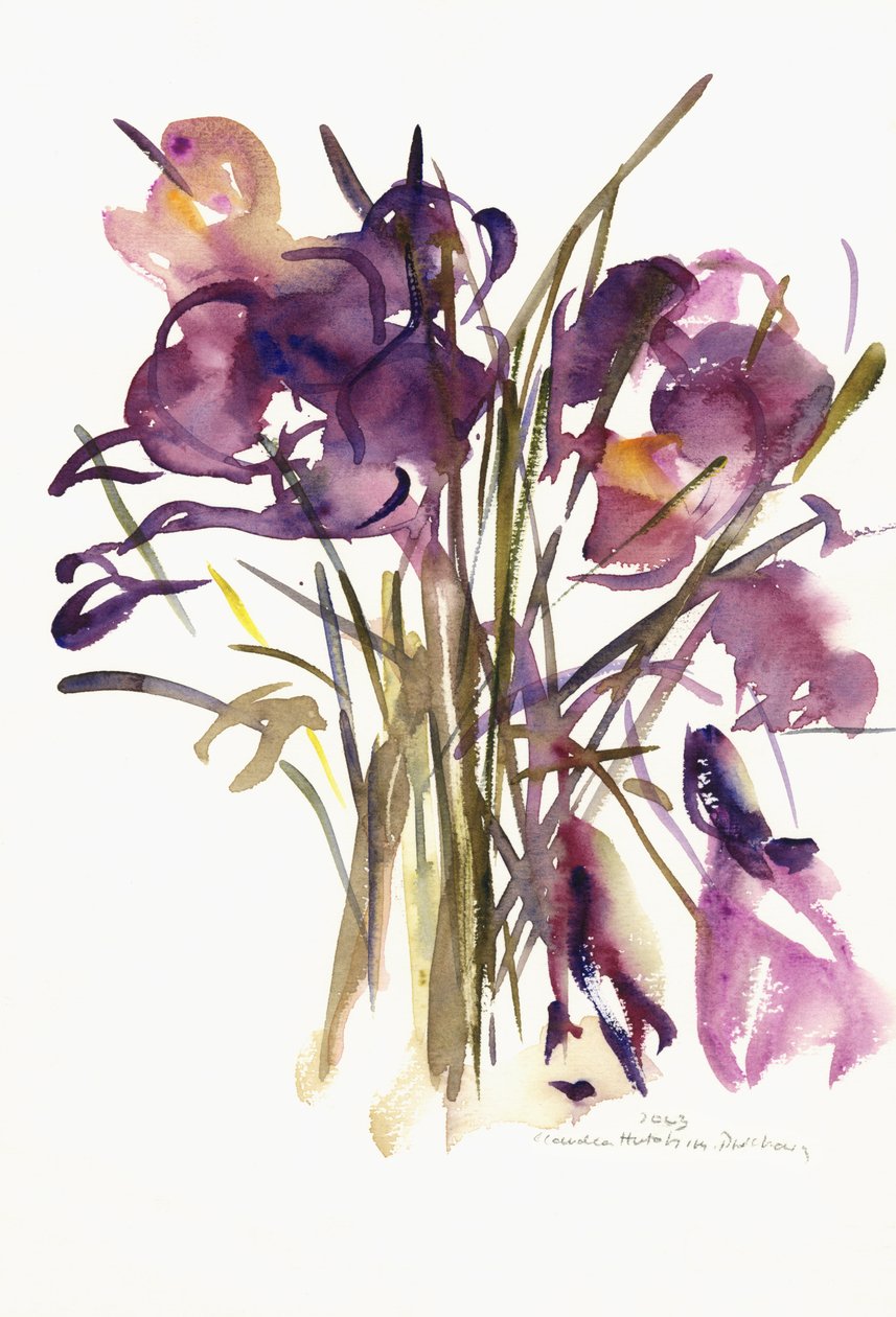 Krokus, 2003 door Claudia Hutchins Puechavy