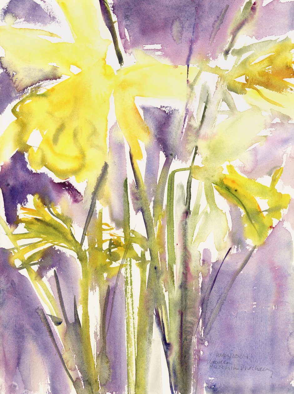 Narcissen, 2004 door Claudia Hutchins Puechavy