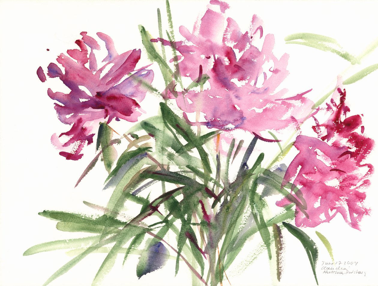 Pioenen, 2004 door Claudia Hutchins Puechavy