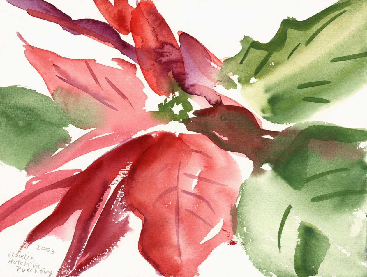 Poinsettia, 2003 door Claudia Hutchins Puechavy