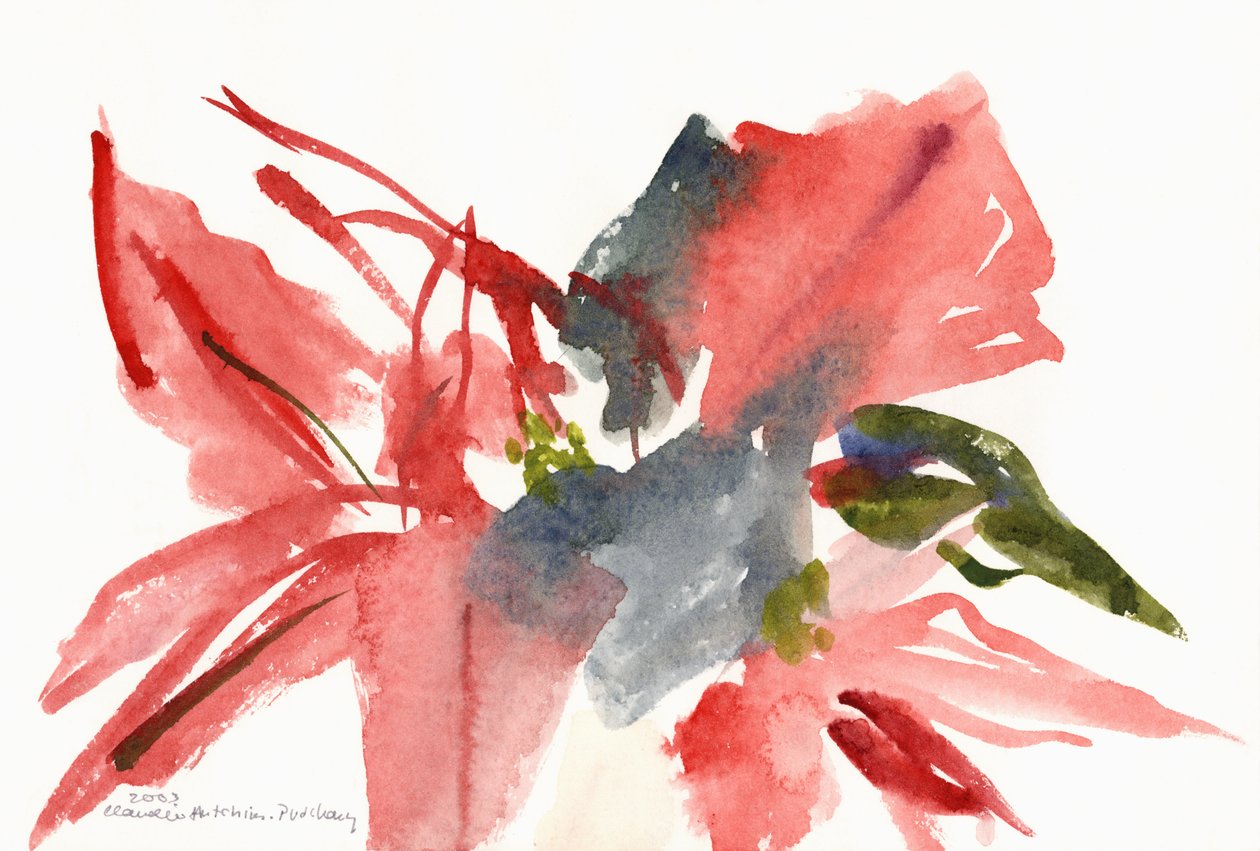 Poinsettia, 2003 door Claudia Hutchins Puechavy