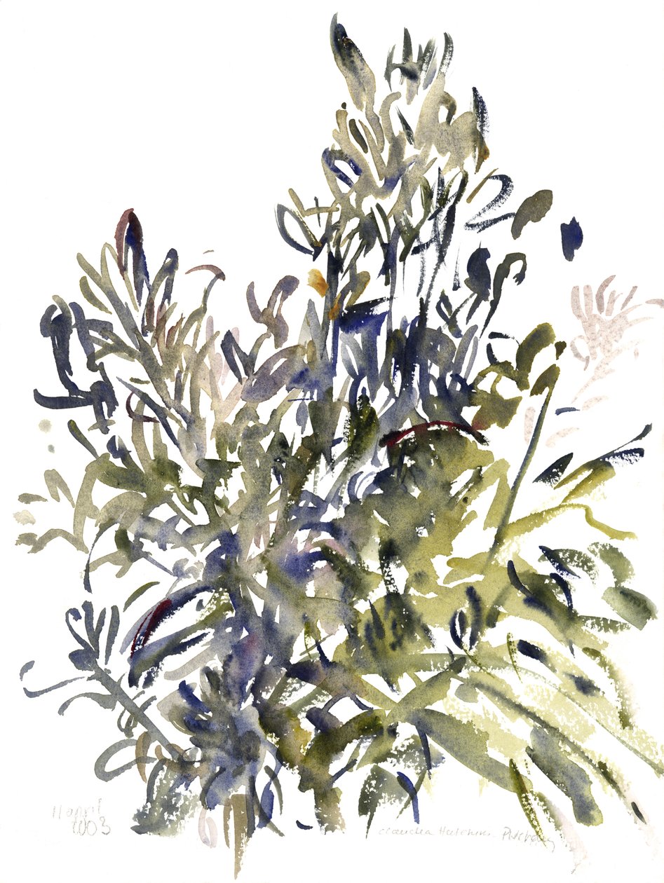 Senecio en andere Planten, 2003 door Claudia Hutchins Puechavy