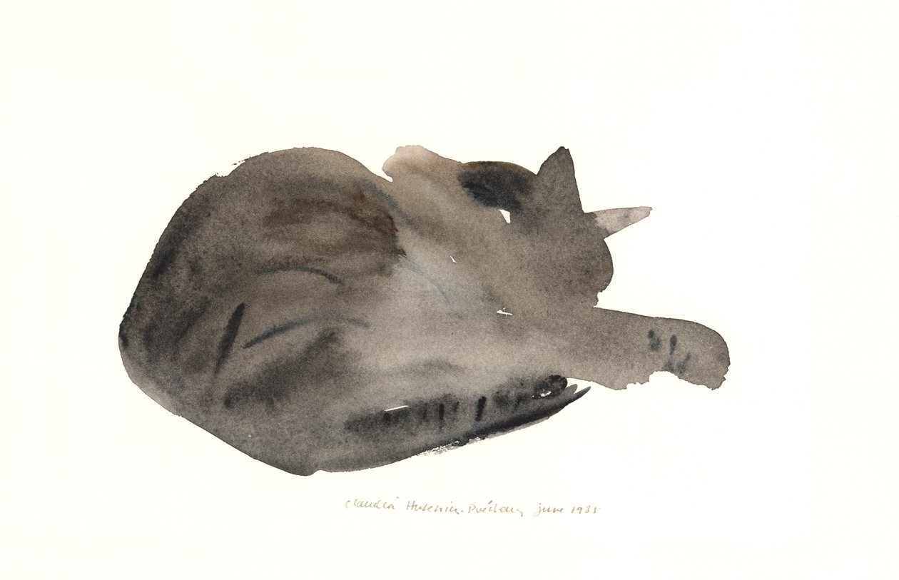 Slapende kat, 1985 door Claudia Hutchins Puechavy