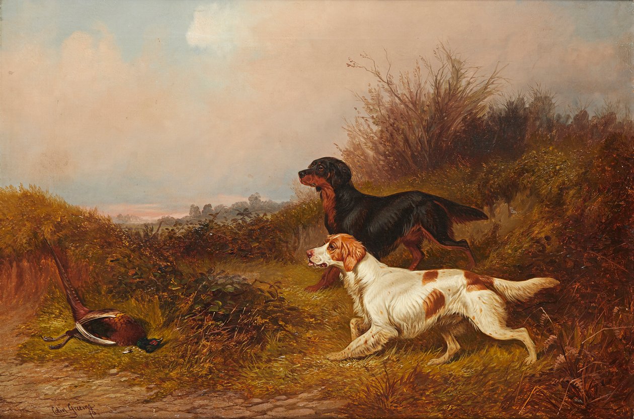 Retrievers aan het werk door Colin Graeme