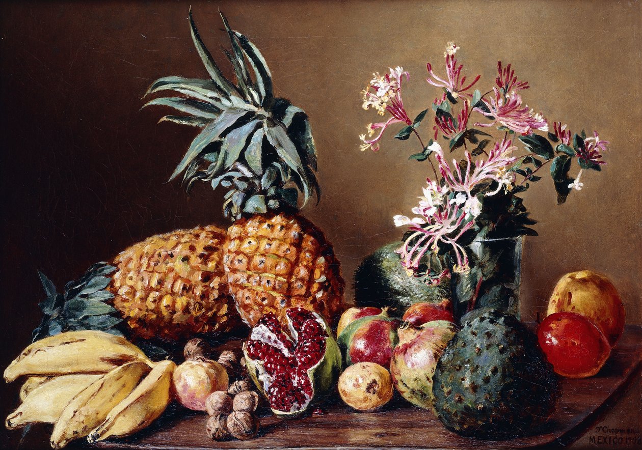 Stilleven met Ananassen door Conrad Wise Chapman