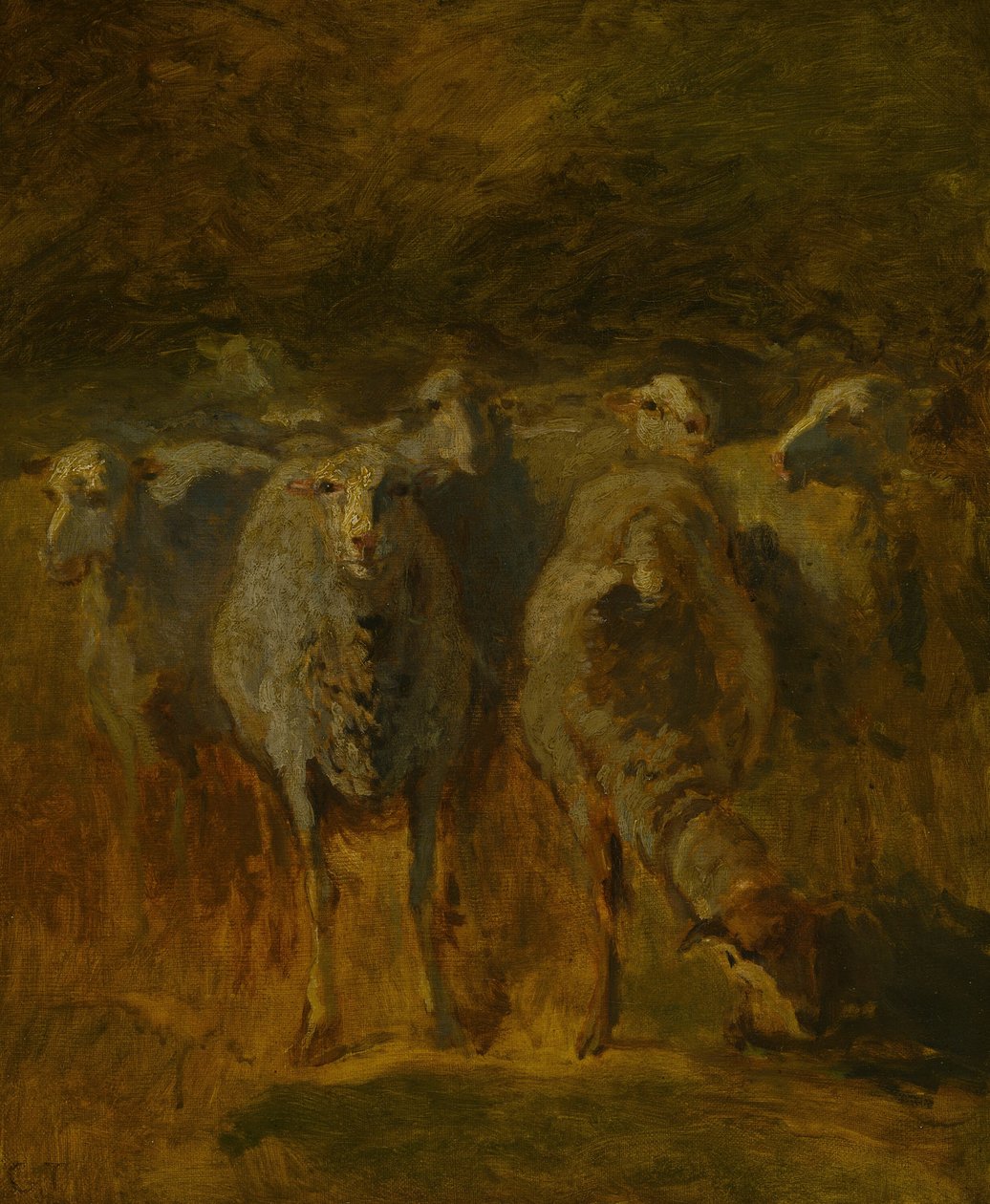 Onafgemaakte studie van schapen door Constant Troyon