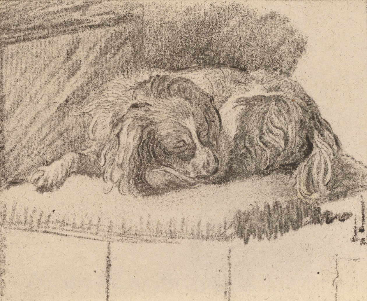 Liggende hond, 1777 door Cornelis Brouwer