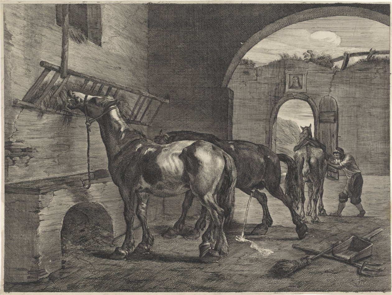 Paardenstal door Cornelis Visscher (II)