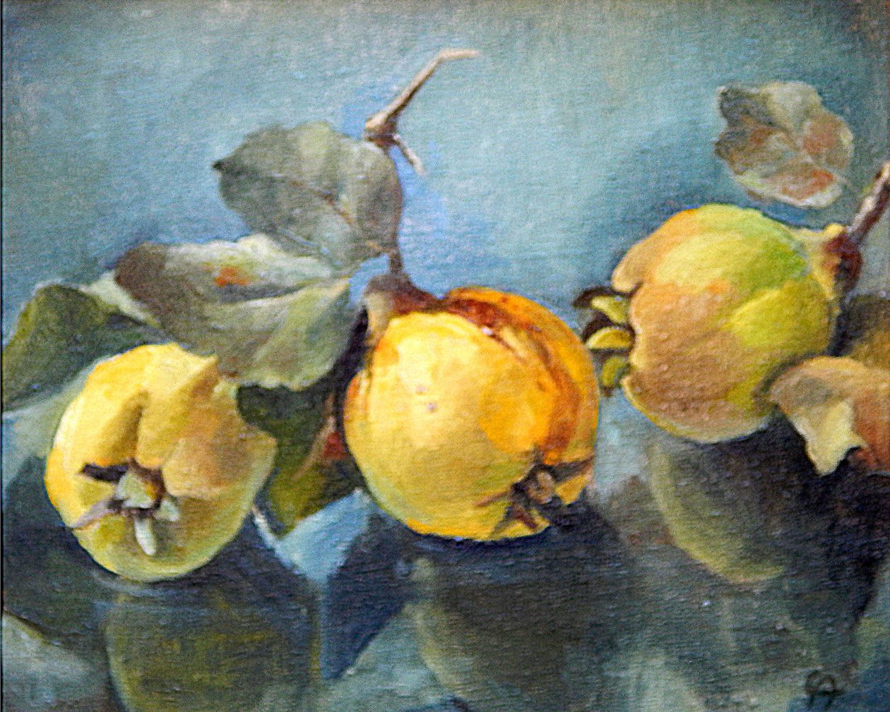 Kweeperen, 2011 door Cristiana Angelini