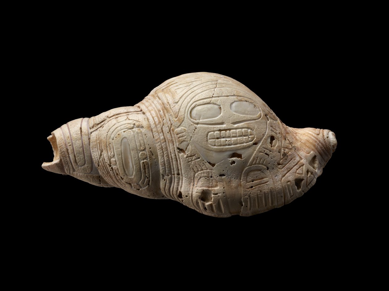 Gesneden schelp door Culture Taino