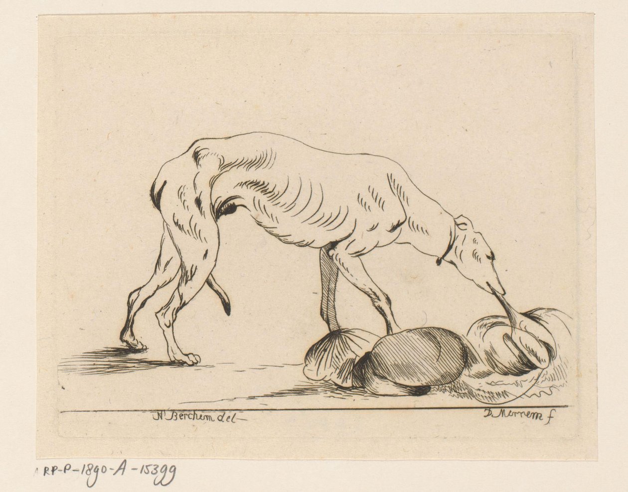 Etende hond door D. Merrem