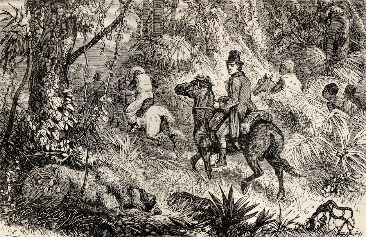 Mungo Park ontmoet een leeuw op weg naar het dorp Modiboo, 1825 door Dalziel Brothers