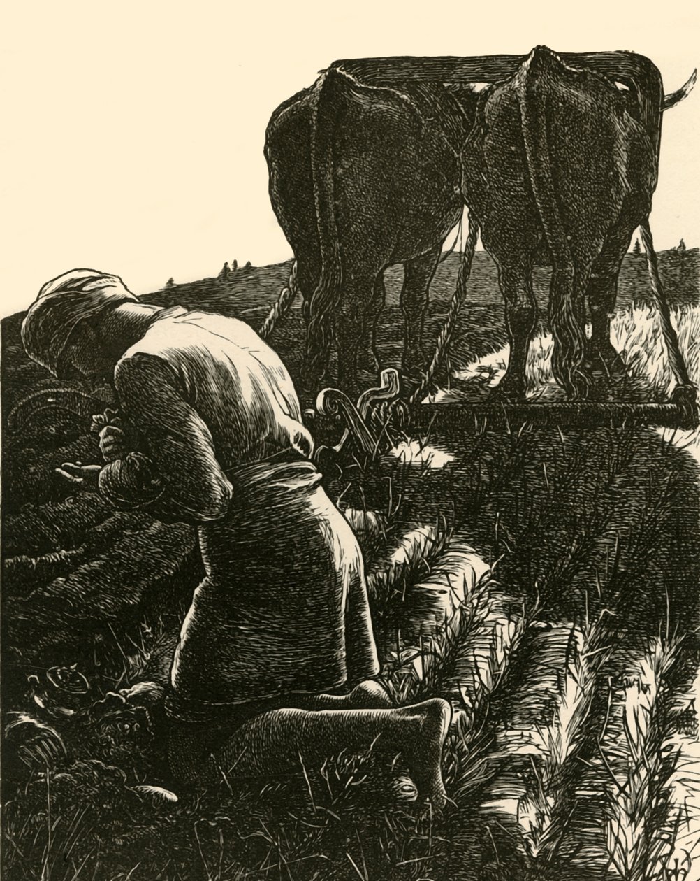 De Verborgen Schat door Dalziel Brothers