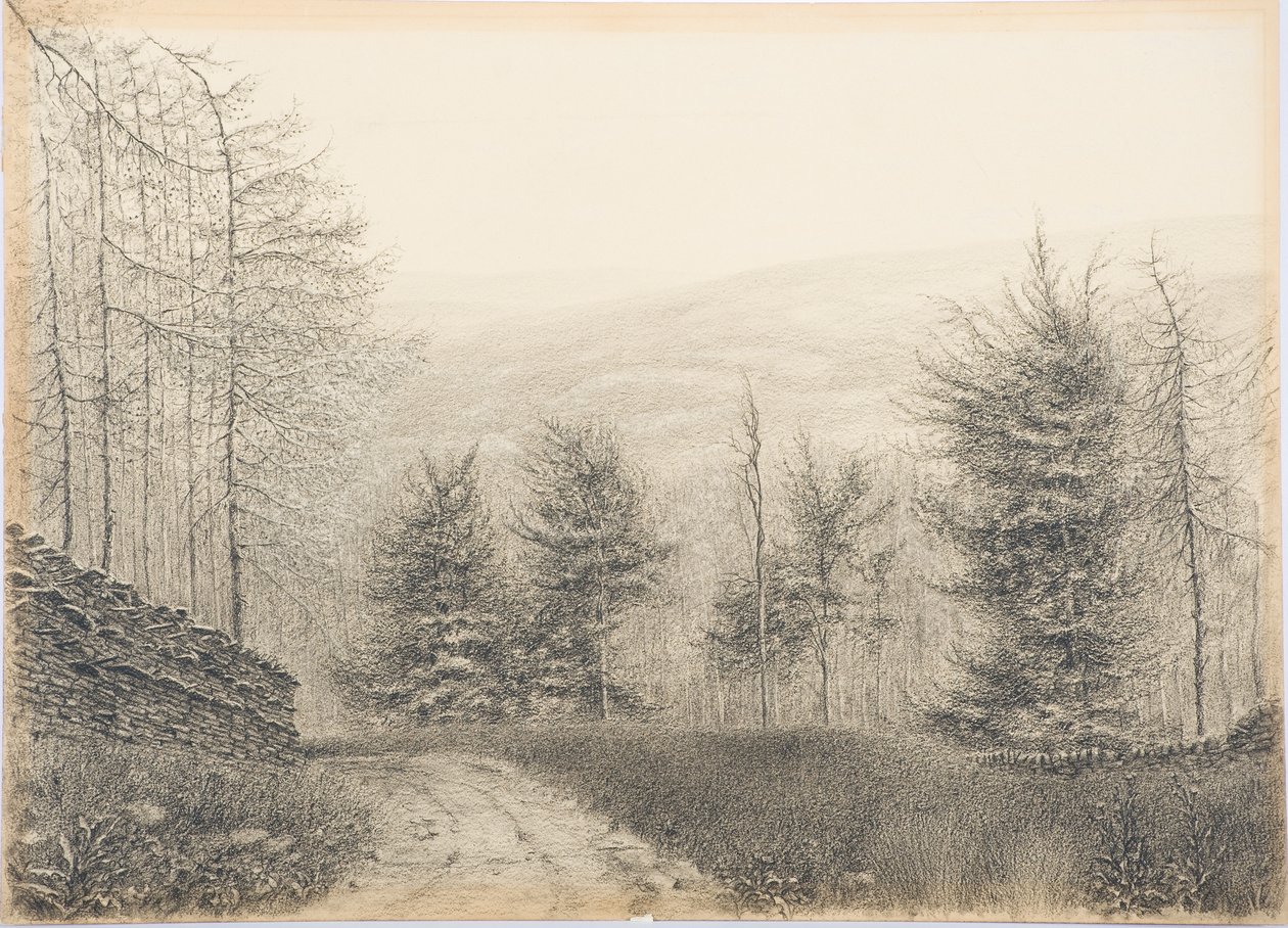 Egglestone Bridge, Teesdale, ca. 1916 door Daniel Oliver