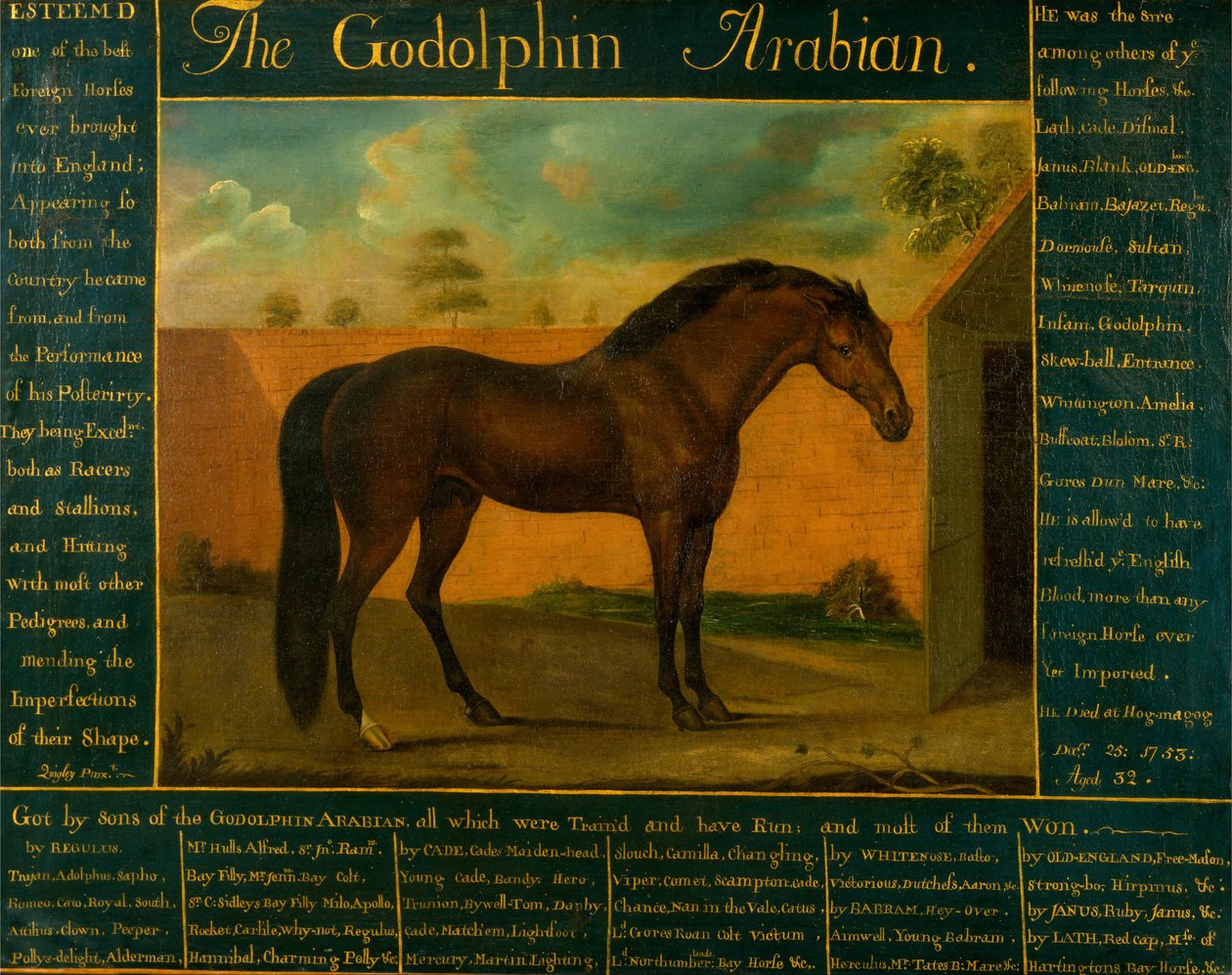 De Godolphin Arabier door Daniel Quigley