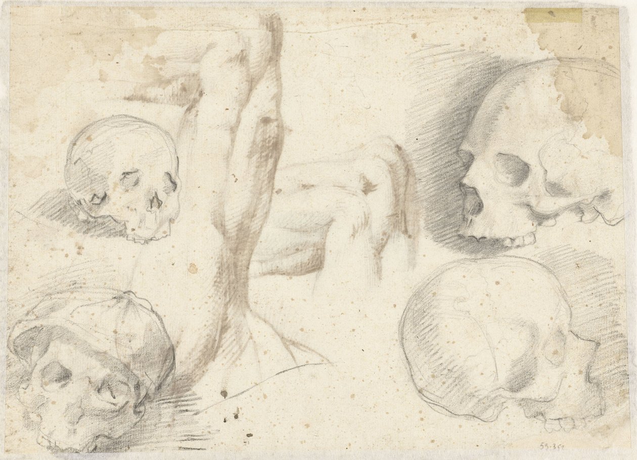 Vier studies van een schedel door Daniele da Volterra