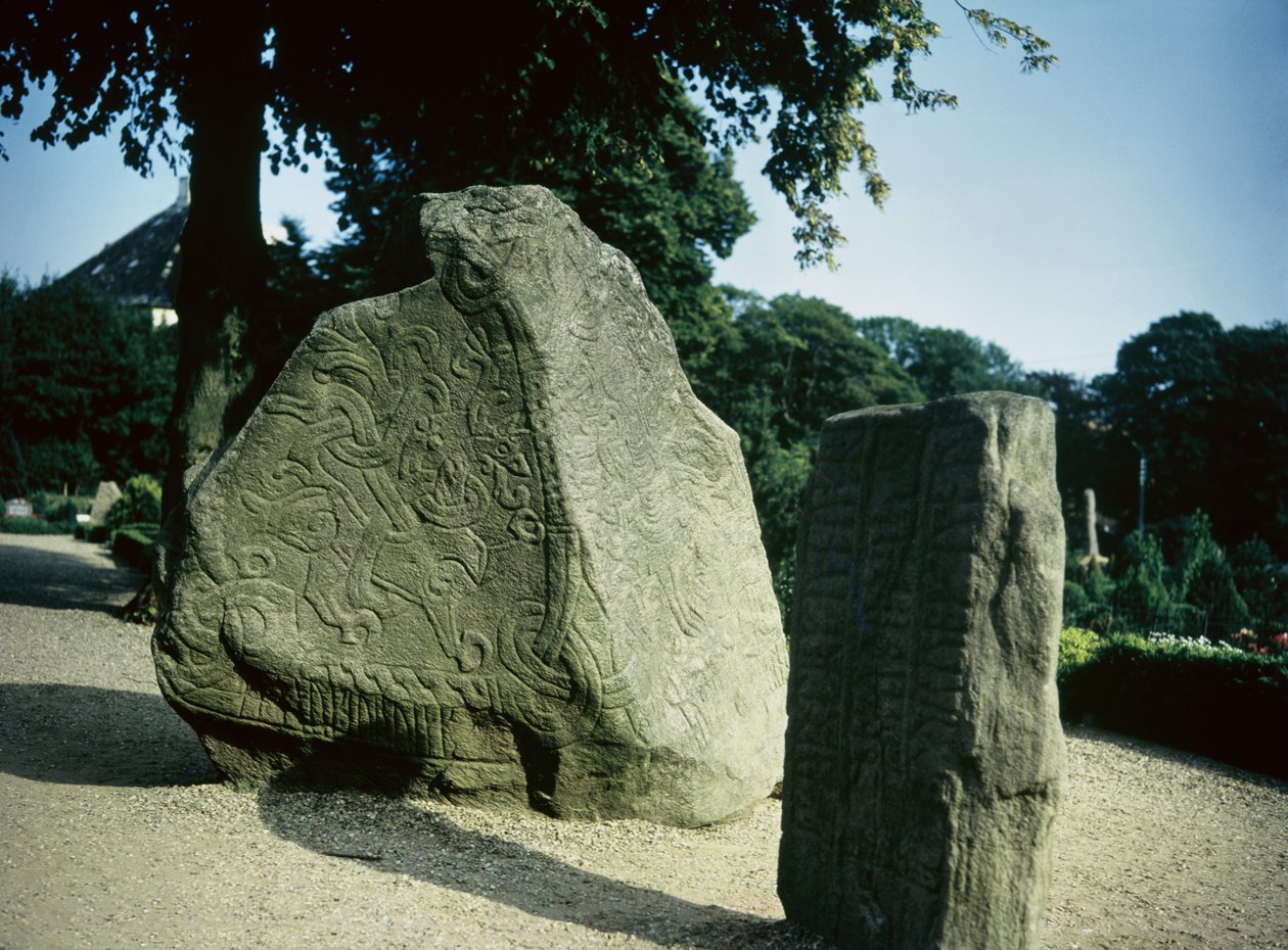 Viking runestenen door Danish School
