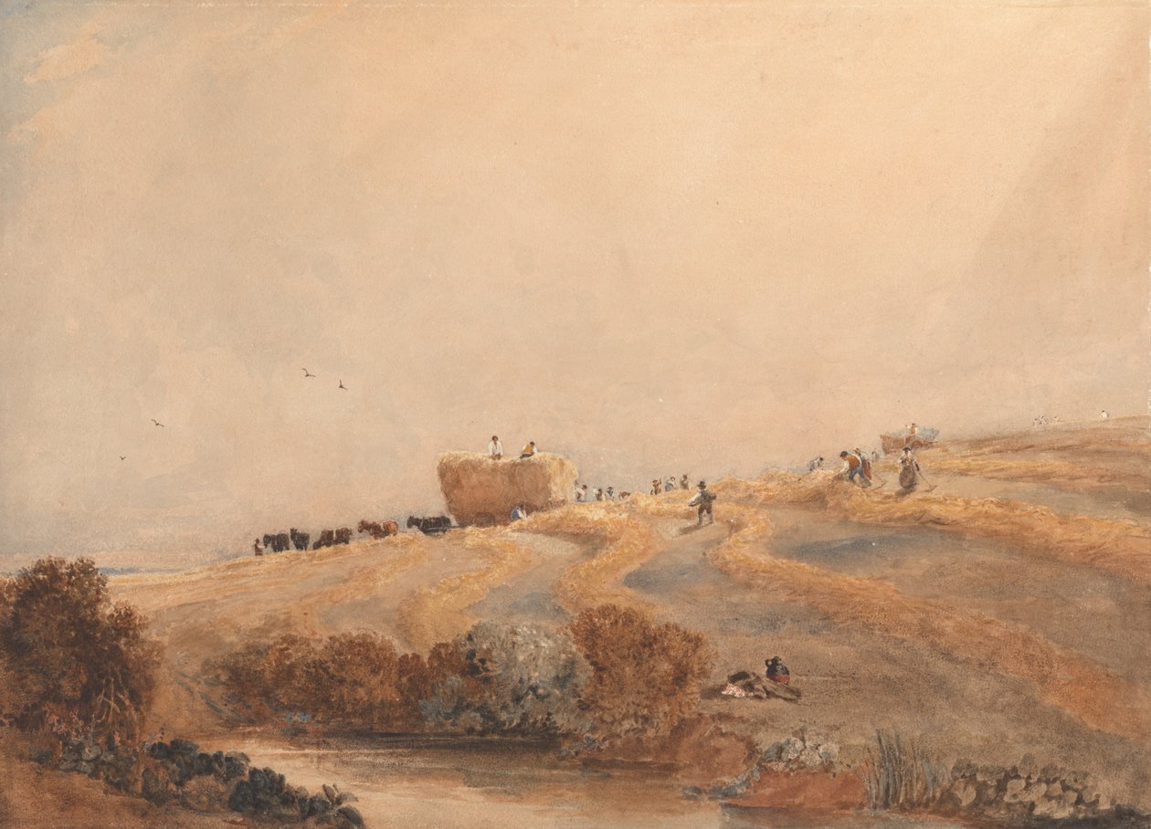 Hooien door David Cox