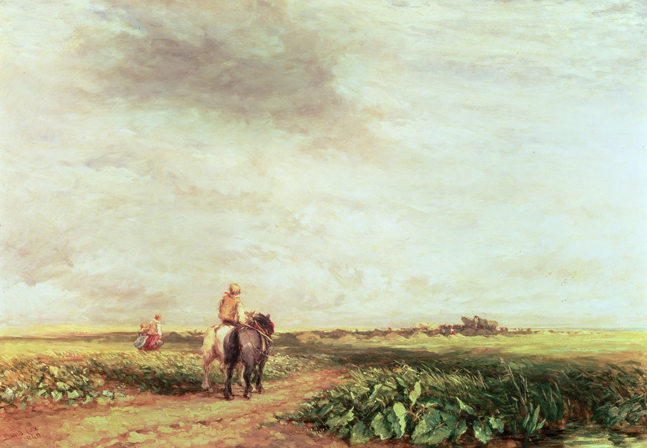 Landschap door David Cox