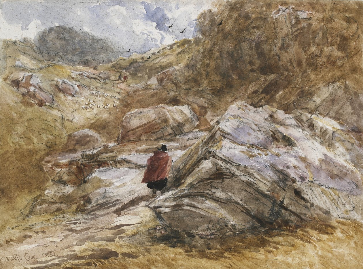 Bergpas bij Bettws-y-Coed, 1851 door David Cox