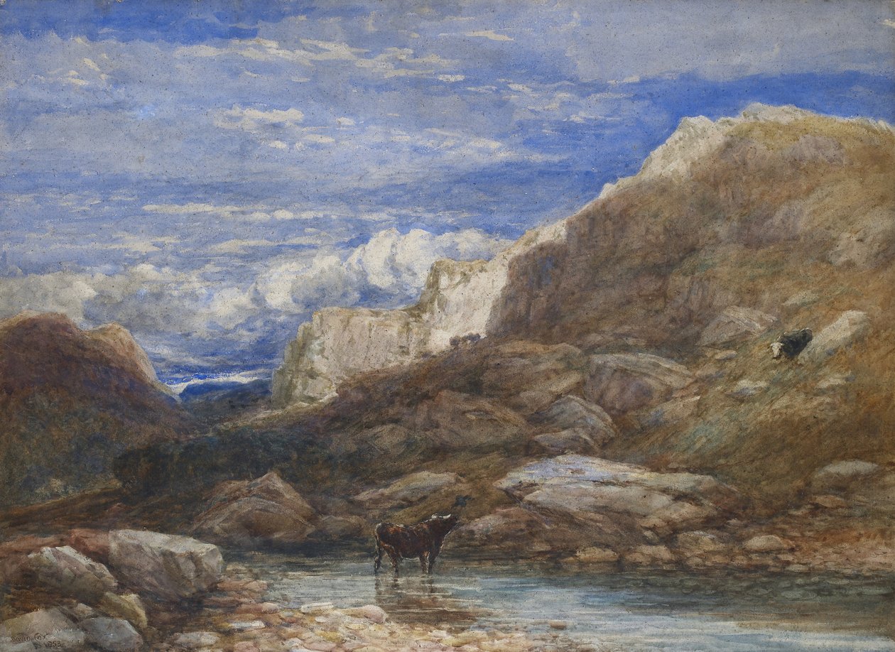 De uitdaging door David Cox