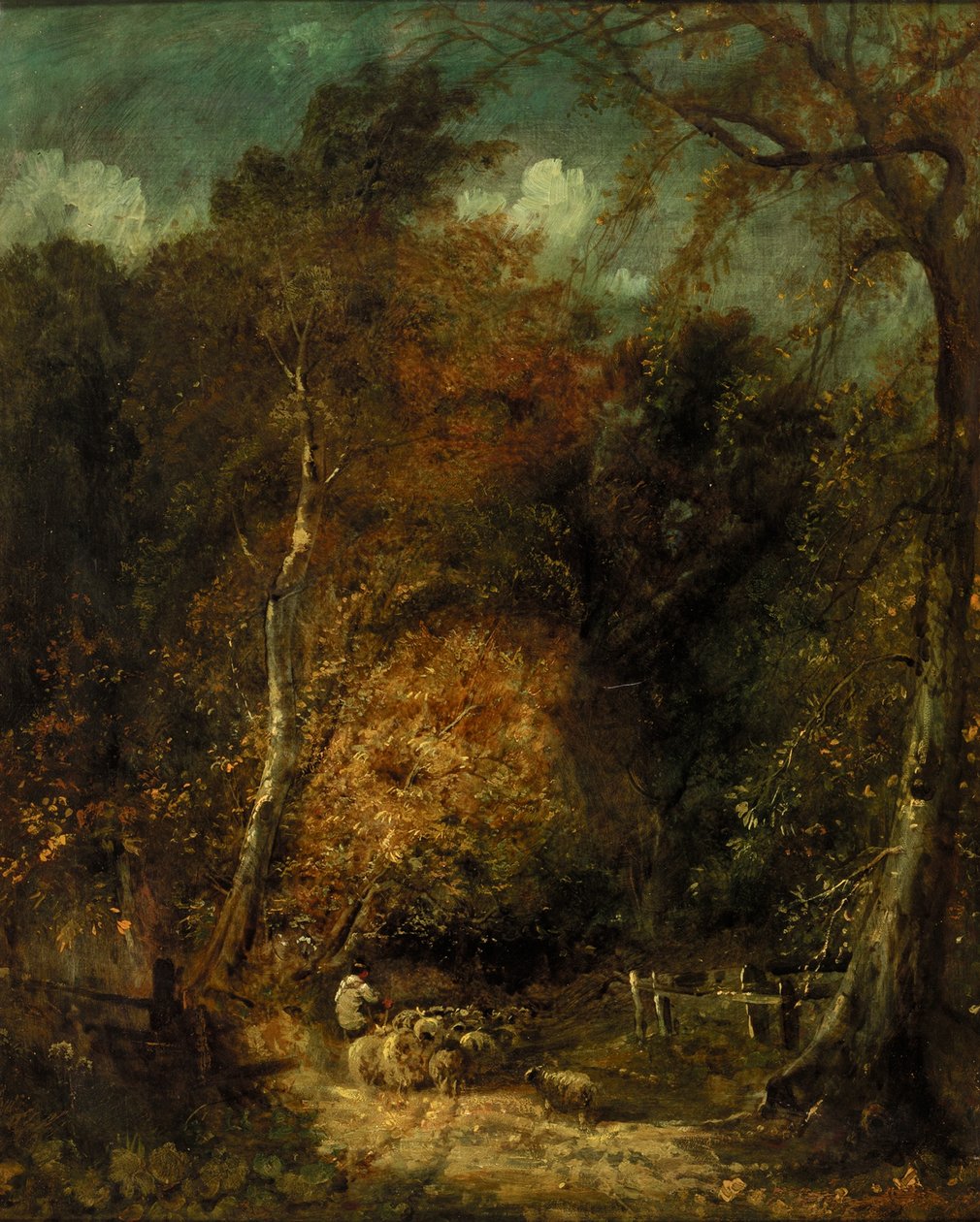 Boslandschap door David Cox