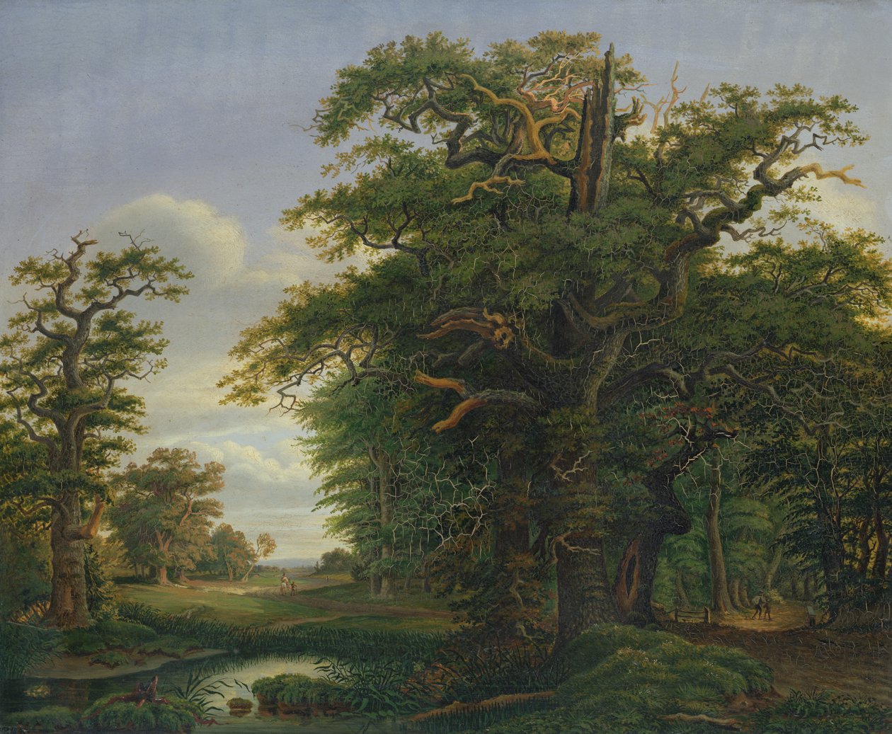 Eikenhout, 1847 door David Christopher Mettlerkamp