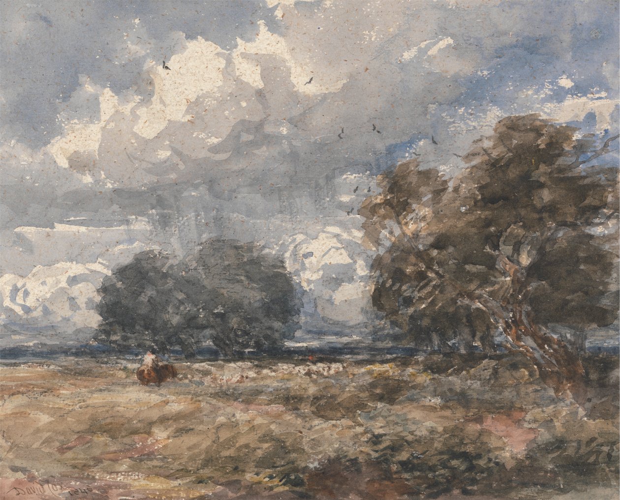 Herder de Kudde, Winderige Dag door David Cox