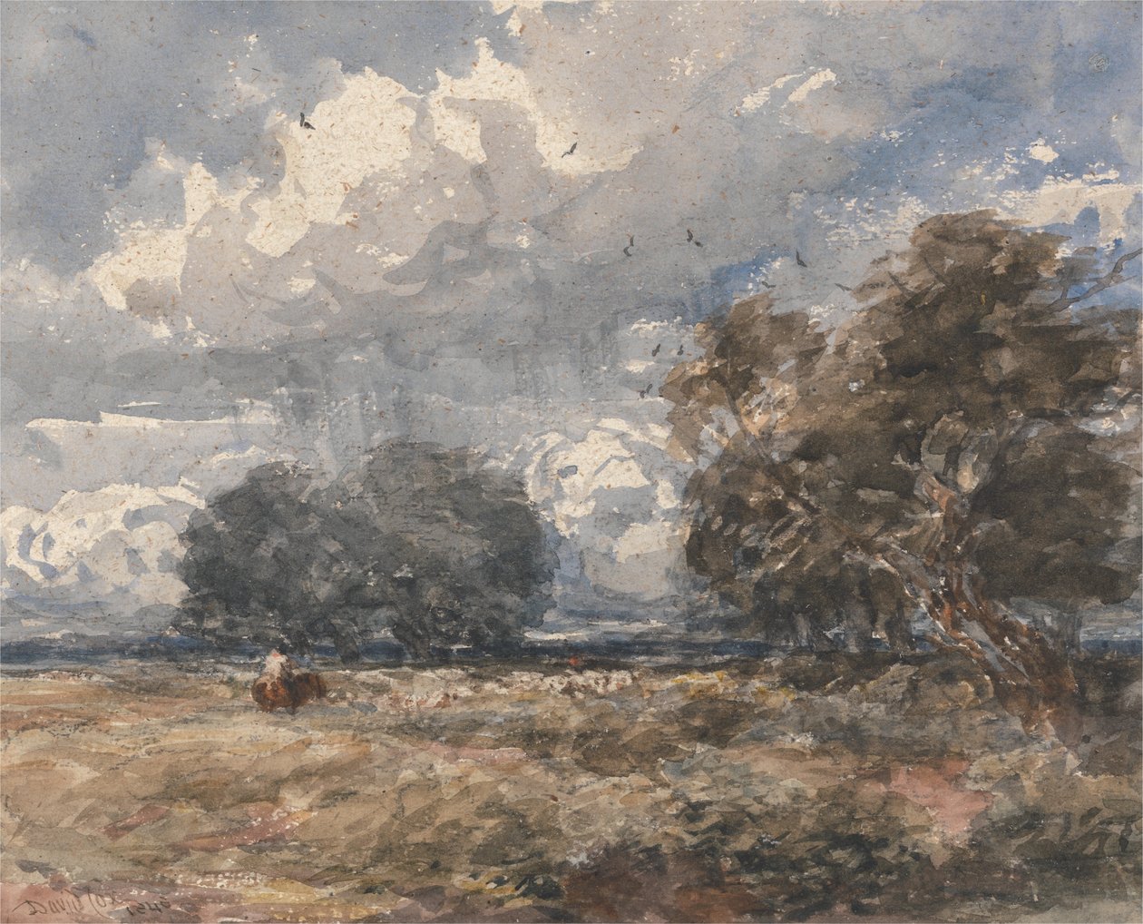 De kudde hoeden, winderige dag door David Cox