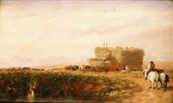 Het hooiveld door David Cox