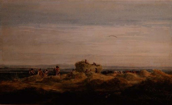 Het Hooiveld door David Cox