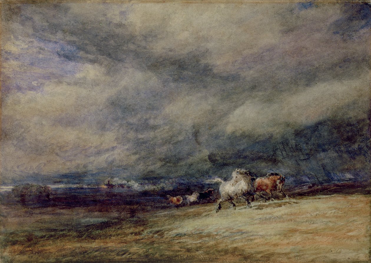 De Nachttrein door David Cox
