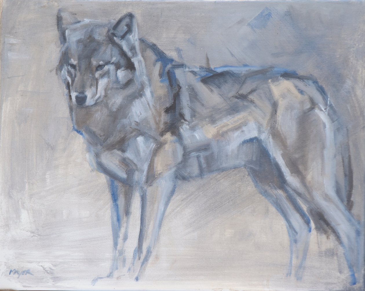 Wolf 1, 2023 door David Mayer