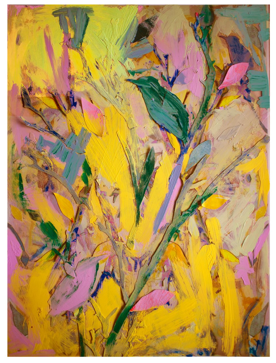 Spreeuwen, 2017 door David McConochie