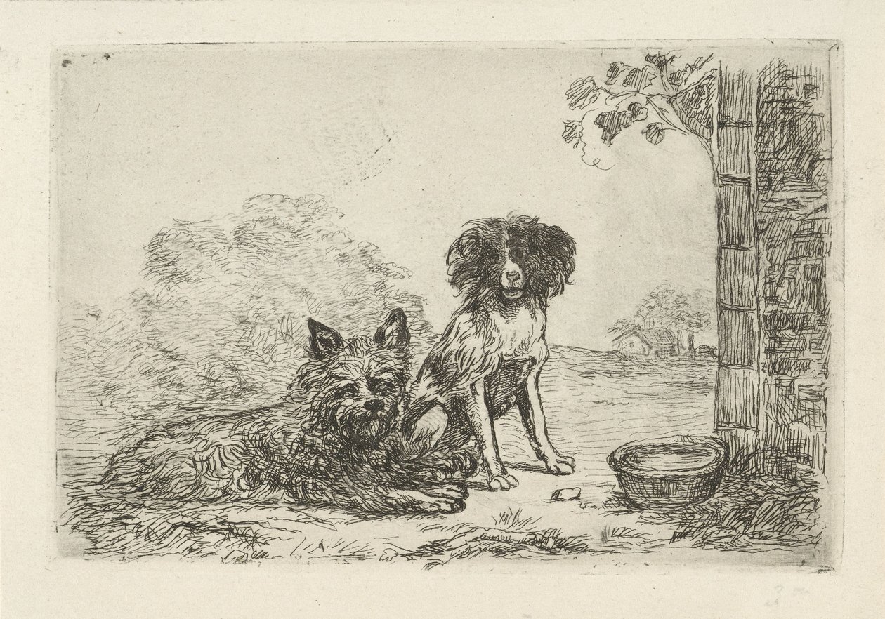 Twee honden door David van der Kellen