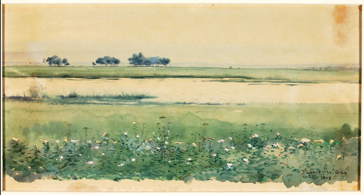 (Landschap met moerassen) door De Lancey Gill