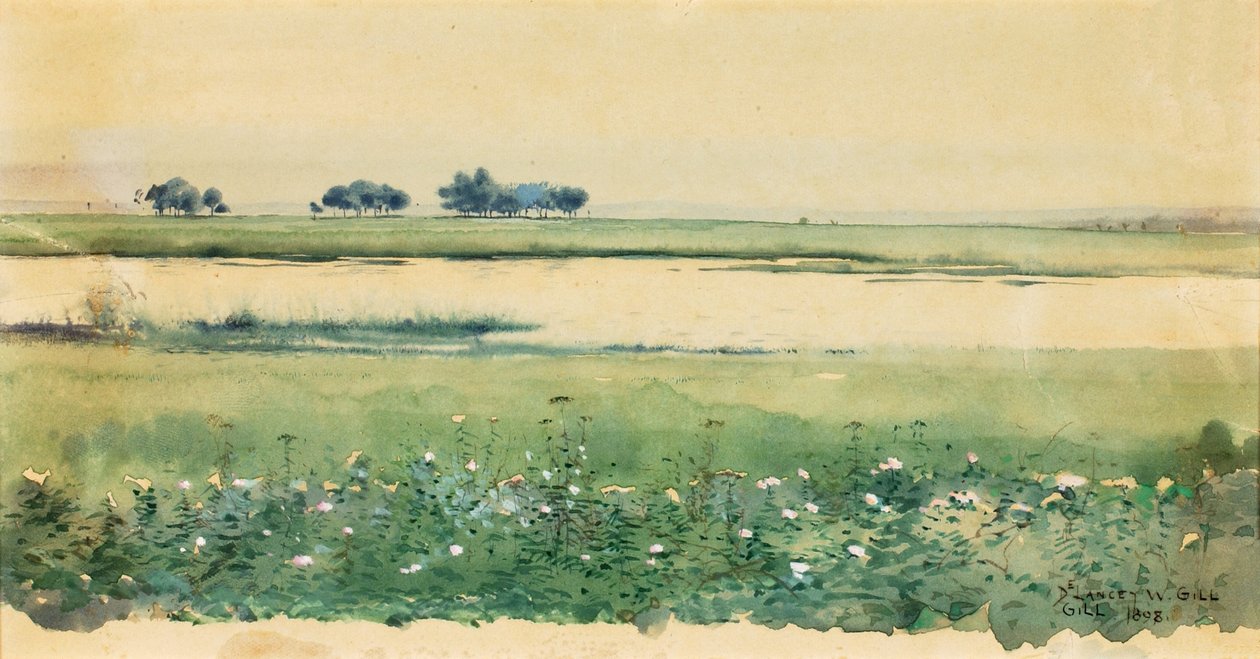 Landschap met Moerassen, 1898 door De Lancey Gill