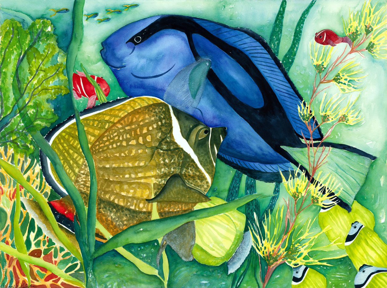 Blauwe Tang door Deborah Eve Alastra