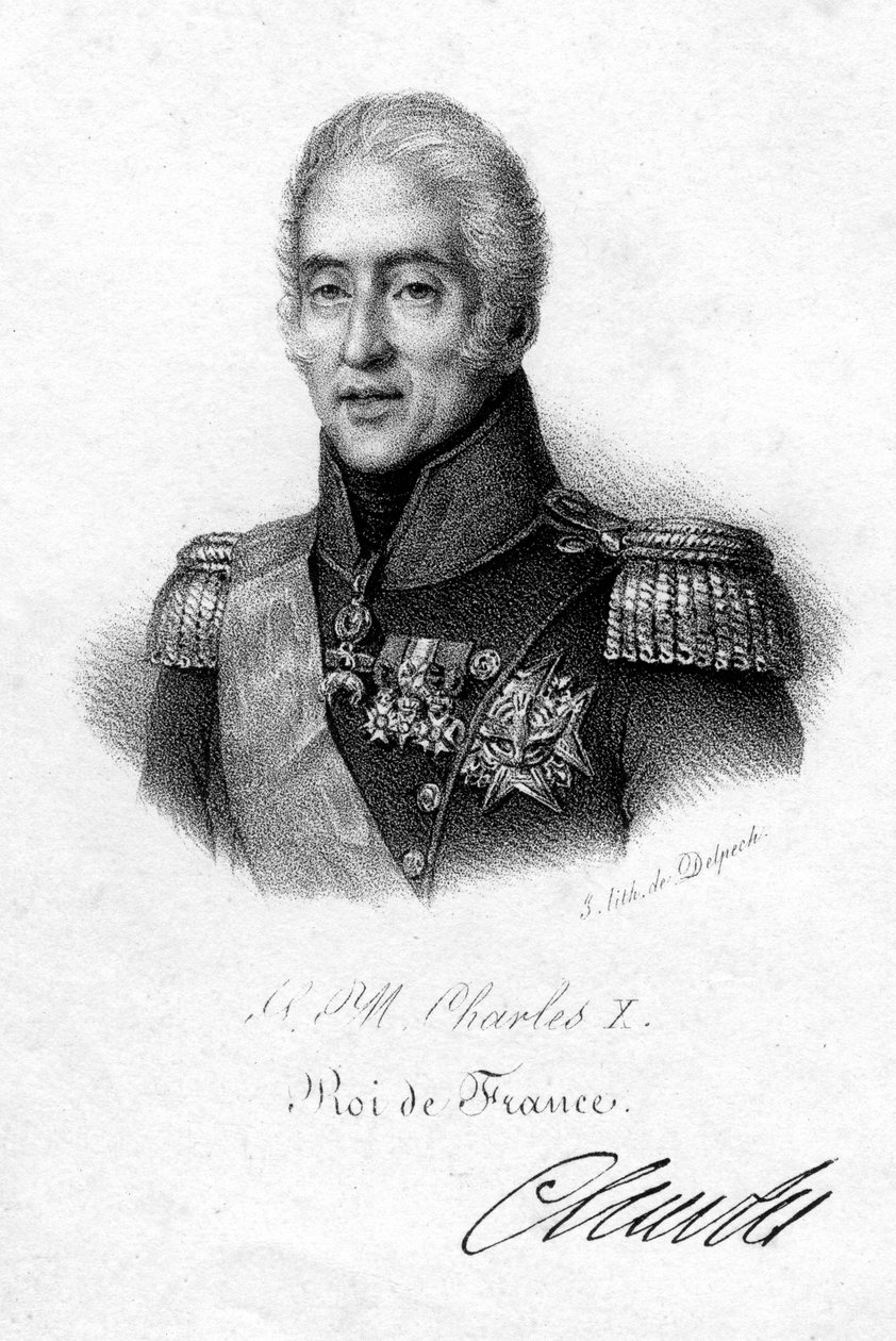 Karel X, Koning van Frankrijk door Delpech