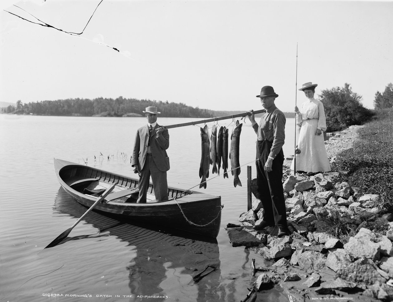 Een ochtendvangst in de Adirondacks, c.1903 door Detroit Publishing Co.