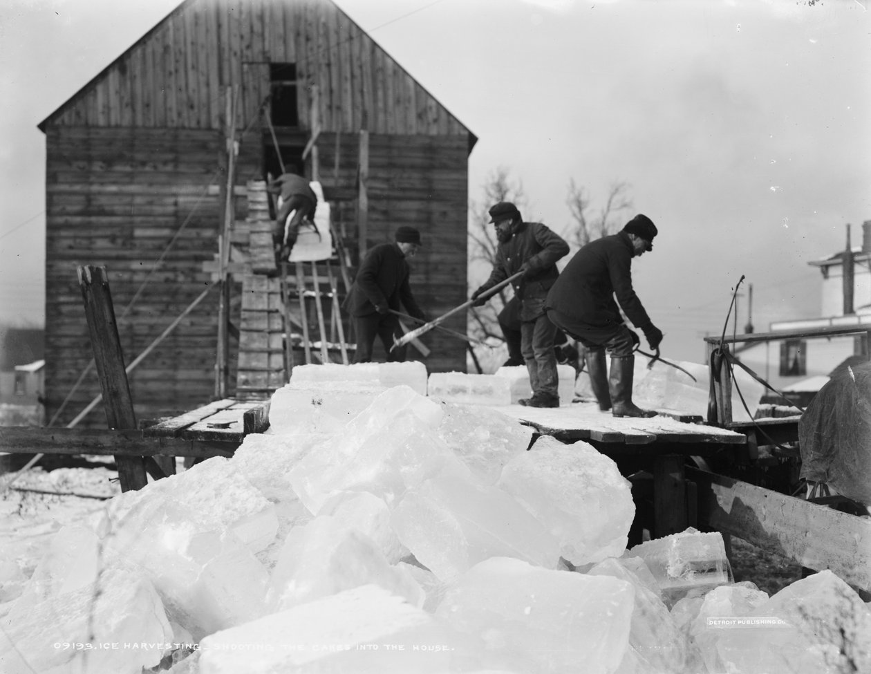 IJsoogst, het schieten van de blokken in het huis, ca. 1903 door Detroit Publishing Co.