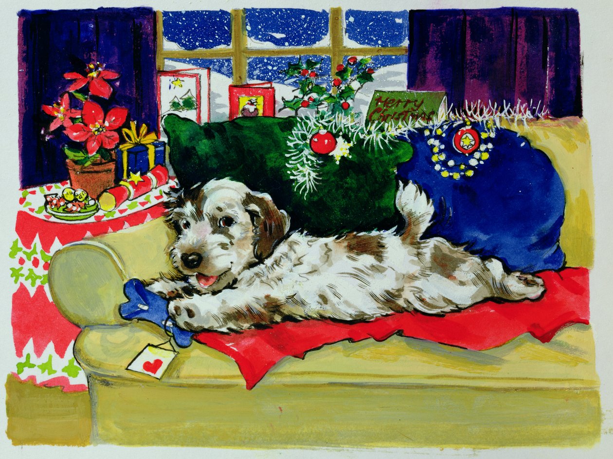 Een Bot voor Kerstmis door Diane Matthes