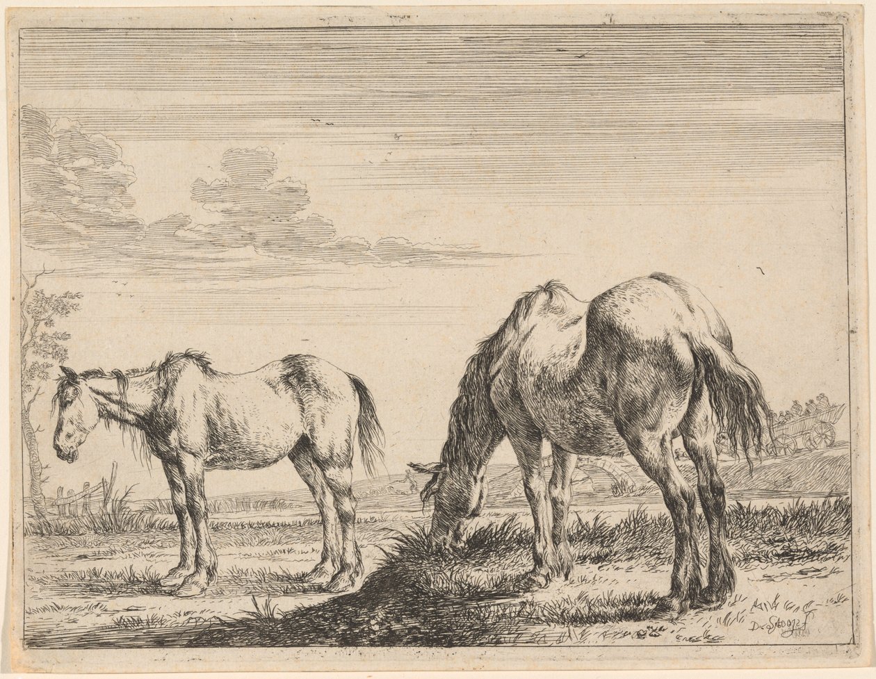 Twee Grazende Paarden door Dirck Stoop