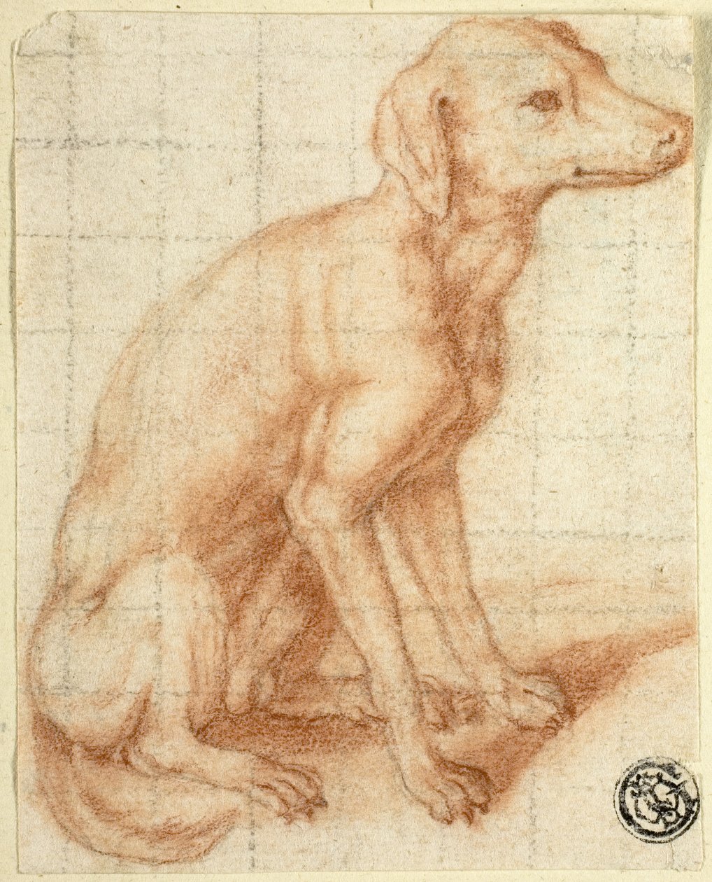 Retriever door Dirk Valkenburg